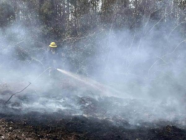 Teams continue to work to contain the fires in Horry County at Lewis Ocean Bay Heritage Preserve and Wildlife Management property in South Carolina, United States on March 3, 2025. (Photo by SC Department of Natural Resources/Anadolu via Getty Images)