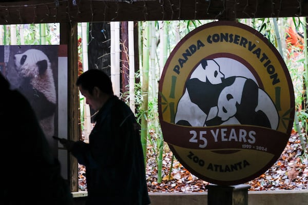 Zoo Atlanta is confidently adapting following the recent departure of its beloved Panda exhibition to China. Despite this change, one of the shops remains open and continues to offer an extensive selection of panda souvenirs for visitors.
(Miguel Martinez / AJC)