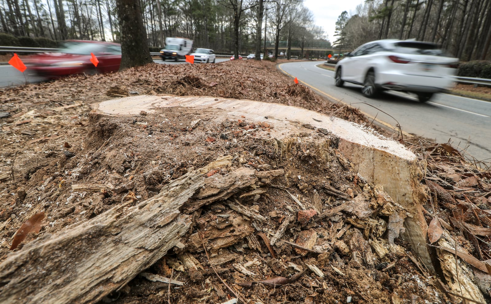 Two teenagers were killed and three others were injured in a single-vehicle crash in Cherokee County on Jan. 9.