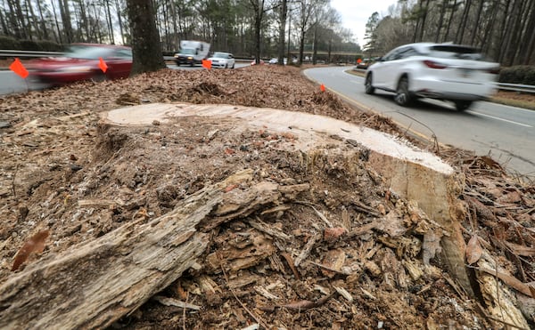 Two teenagers were killed and three others were injured in a single-vehicle crash in Cherokee County on Jan. 9.