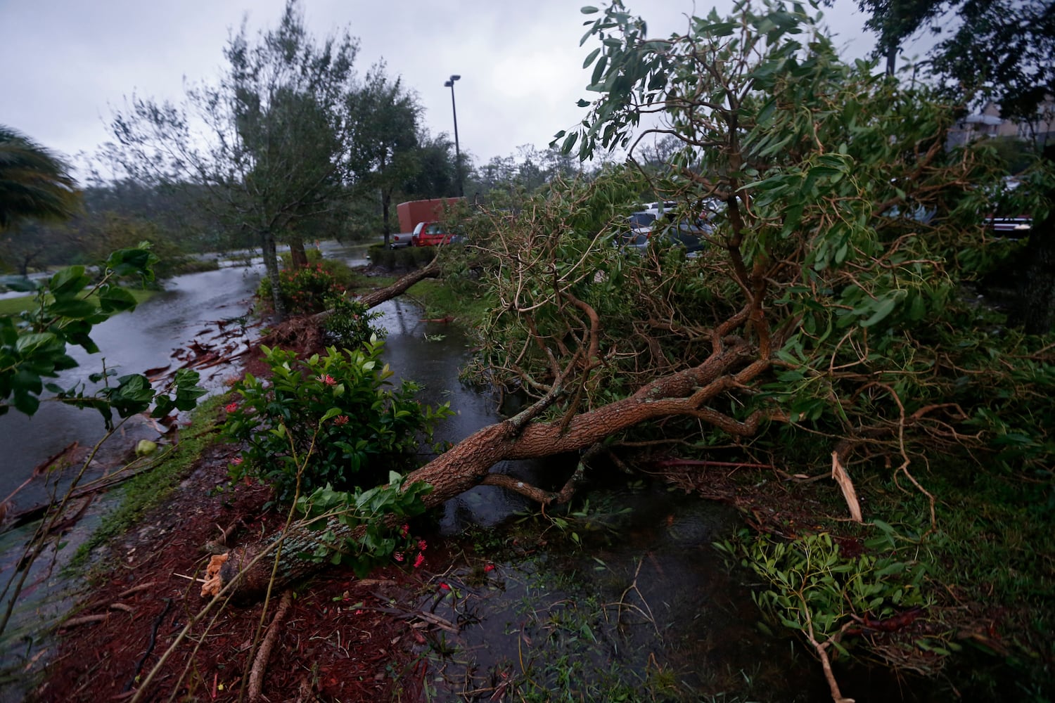 Photos: Hurricane Irma makes landfall in Florida, leaves damage behind