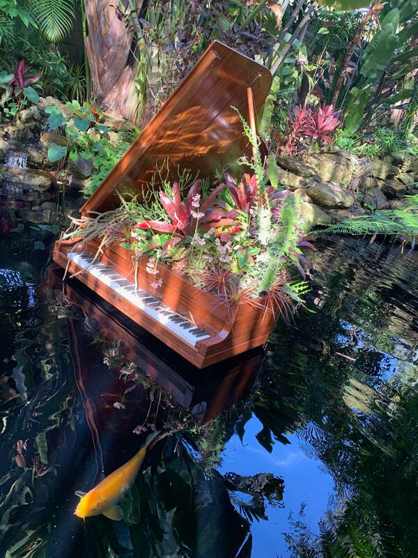 "I took this picture while visiting Sarasota, Fl. at the Selby botanical gardens," wrote Toni Adler,  Atlanta. " They were having a Salvador Dali exhibit and it was absolutely beautiful and exciting to see how they transformed the gardens with pieces of art.  This one was a piano filled with plants floating in a lagoon with fish swimming all around it.   Just gorgeous.  And there were so many surprises all over the gardens.   Definitely worth a trip to see it."