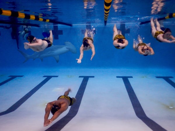  That time a hammerhead shark showed up in KSU's pool .. Photo illustration!