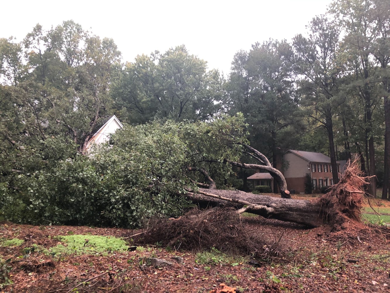 Atlanta storms from Hurricane Zeta