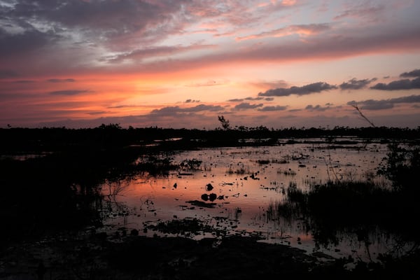 FILE - The sun sets over the marshy wetlands of the Florida Keys, Oct. 17, 2024, in Big Pine Key, Fla. (AP Photo/Lynne Sladky, File)