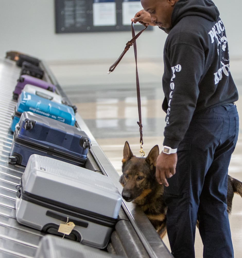 Clayton County Police's Antonio Kendrick watches his K-9, Homer, sniff luggage for drugs in the E Concourse. The U.S. Customs and Border Protection Office of Field Operations Port of Atlanta hosted a two-day K-9 training conference at Hartsfield-Jackson Atlanta International Airport (ATL). K-9 detection dogs from the U.S. Customs and Border Protection, Georgia Department of Correction, Georgia State Patrol, Union City, Newnan, Bowden Police and Clayton County Police participated in training exercises. PHIL SKINNER FOR THE ATLANTA JOURNAL-CONSTITUTION.