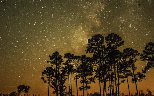 See more stars over Georgia's Stephen C. Foster Park, designated in December as a Dark Sky Park by the International Dark Sky Association.