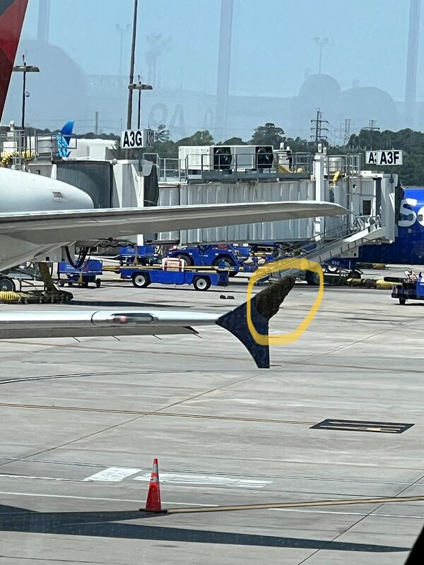 A swarm of bees congregate on the wing of an Atlanta-bound Delta jet, delaying the flight from Houston by more than four hours.