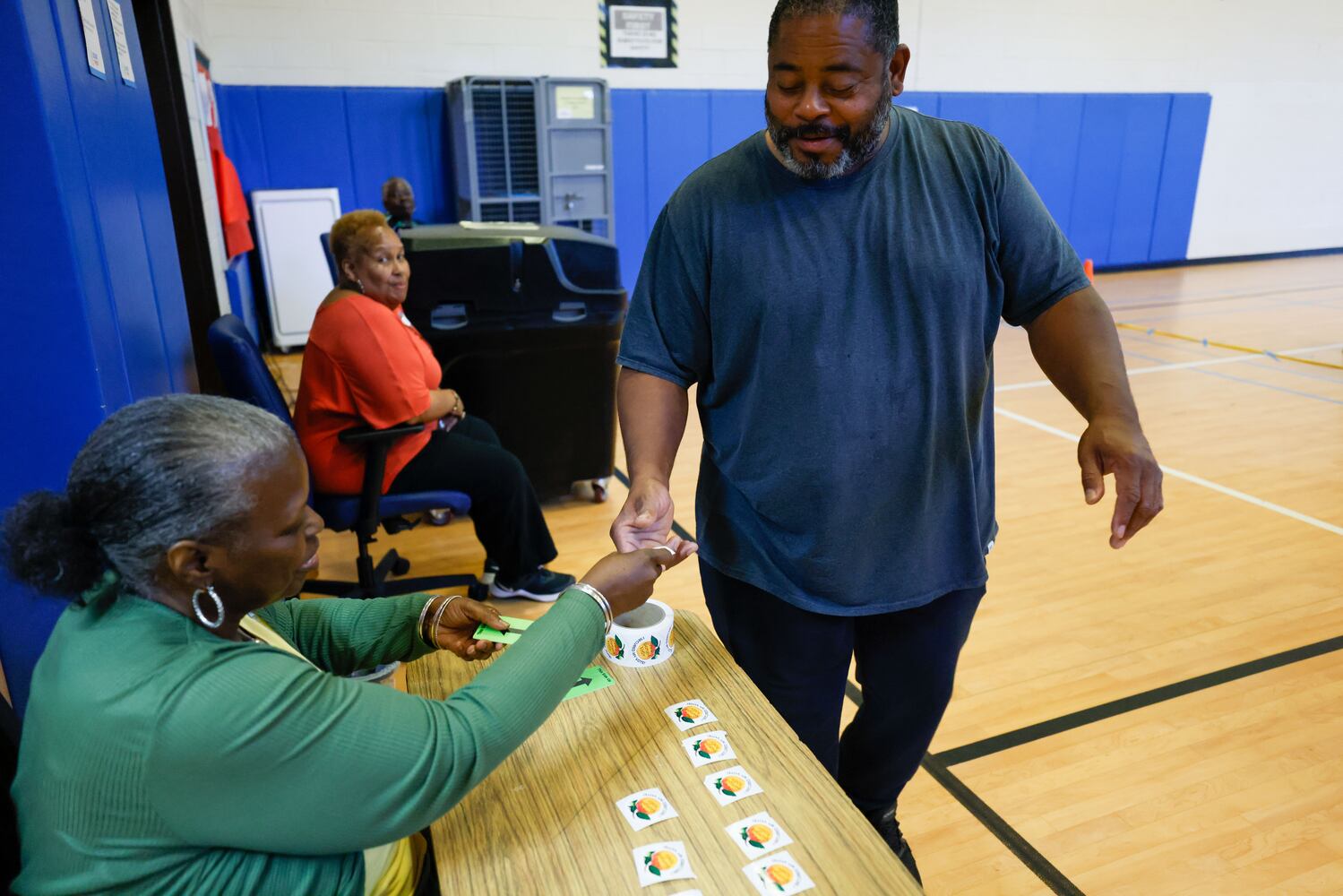 Georgia primary elections