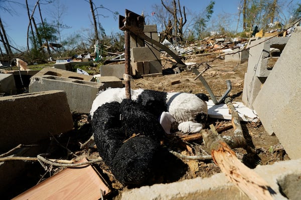 A toy panda bear lies amid the rubble of a mobile home that was destroyed from tornado in Tylertown, Miss., on Sunday, March 16, 2025. (AP Photo/Rogelio V. Solis)