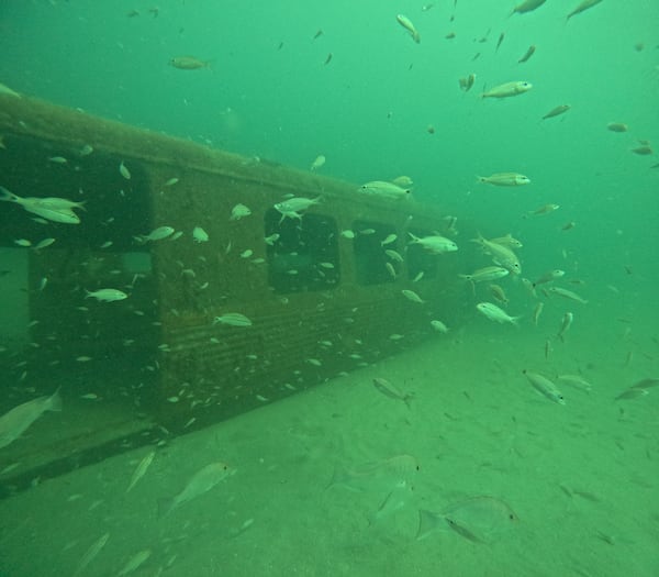 MARTA rail cars are being used as an artificial reef off the coast of Georgia. Divers from the state Department of Natural Resources discovered soft corals and nine different types of fish during a July exploration, the first since the cars were added to the reef. Courtesy of Georgia Department of Natural Resources