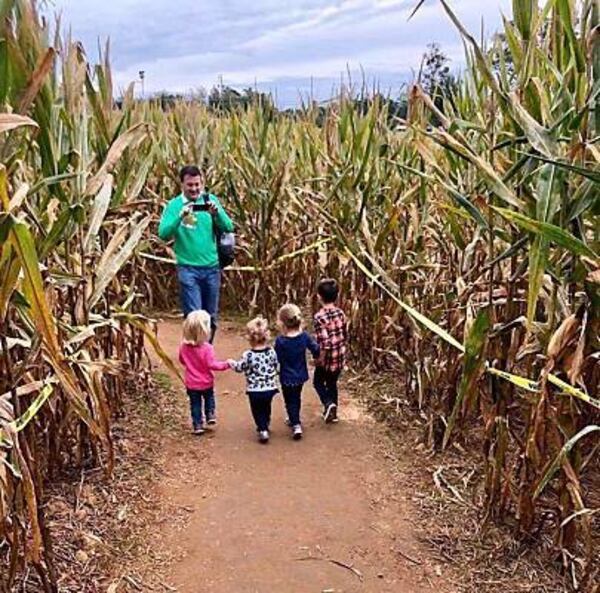 The Buford Corn Maze opens for another season this weekend.