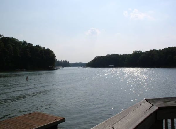 A man died trying to rescue his son over the weekend on Lake Hartwell, officials said.