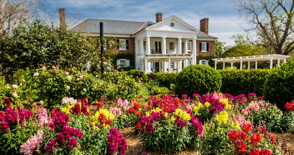 Boone Hall Plantation and Gardens in Mt. Pleasant, South Carolina. 
Courtesy of Boone Hall Plantation and Gardens