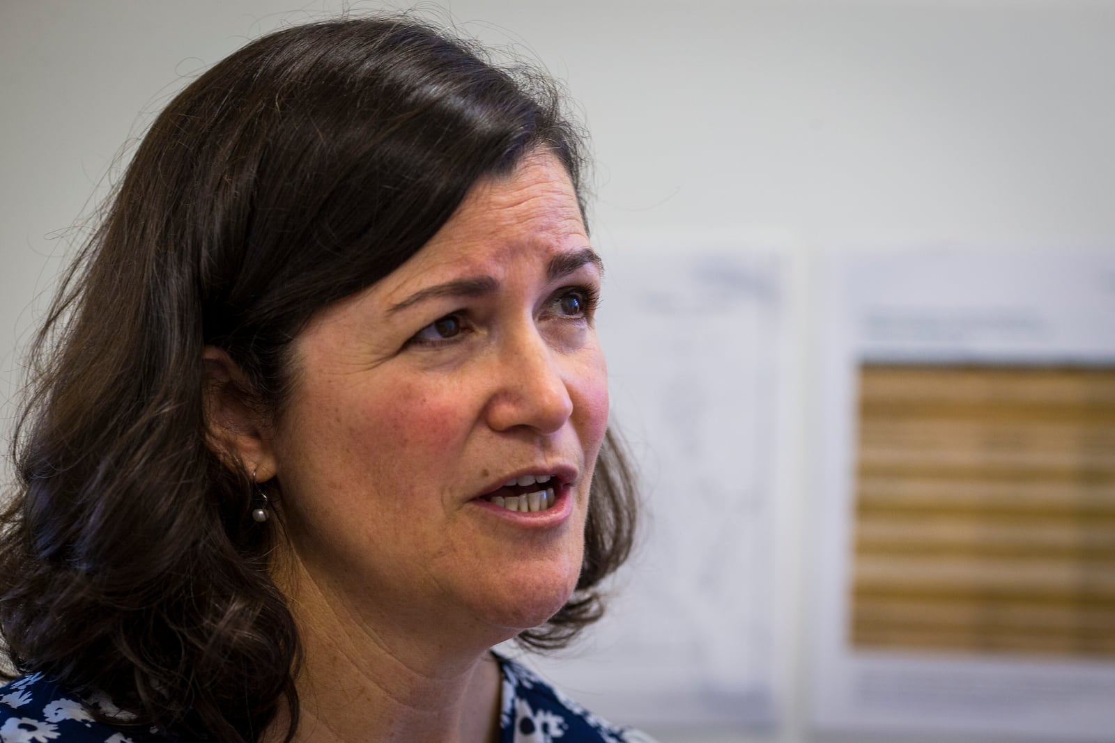 Elizabeth Drembus, the genealogist at the Williamsburg Bray School Lab, speaks about her work on Wednesday, Oct 30, 2024 in Williamsburg, Va. (AP Photo/John C. Clark)