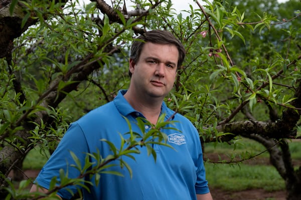 Lee Dickey, co-owner of Dickey Farms in Musella, estimates that he will lose half of his peach crop due to a late freeze. Ben Gray for the Atlanta Journal-Constitution