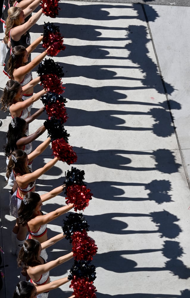 Georgia vs Mississippi State photo