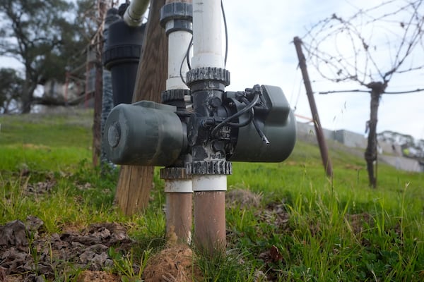 Two Lumo smart irrigation valves, which control different irrigation blocks, are shown in a Cabernet Sauvignon vineyard as Tyler Klick, Partner/Viticulturist of Redwood Empire Vineyard Management, is interviewed in Geyserville, Calif., Friday, Jan. 24, 2025. (AP Photo/Jeff Chiu)