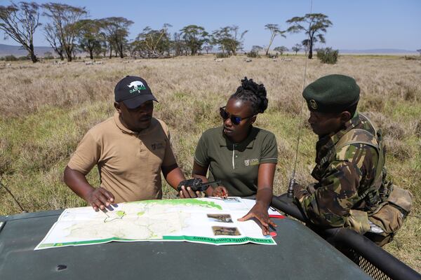 Rangers review a map during the annual wildlife count at Lewa Wildlife Conservancy, Northern Kenya, Thursday, Feb. 27, 2025. (AP Photo/Andrew Kasuku)