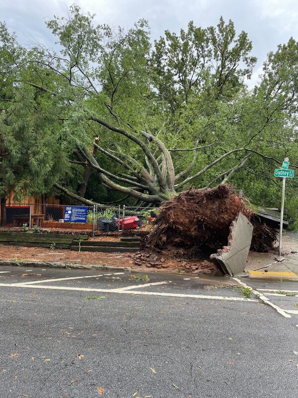 Strong storms brought down large trees in Grant Park Thursday afternoon. DREW KANN / AJC