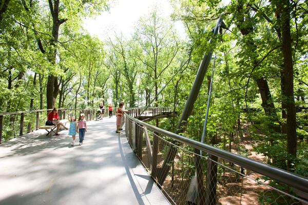 How green is the Atlanta Botanical Garden in summer? Very! Courtesy of Erica George Dines