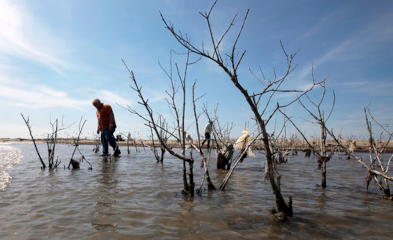 Deepwater Horizon oil spill on the Gulf -- One year later