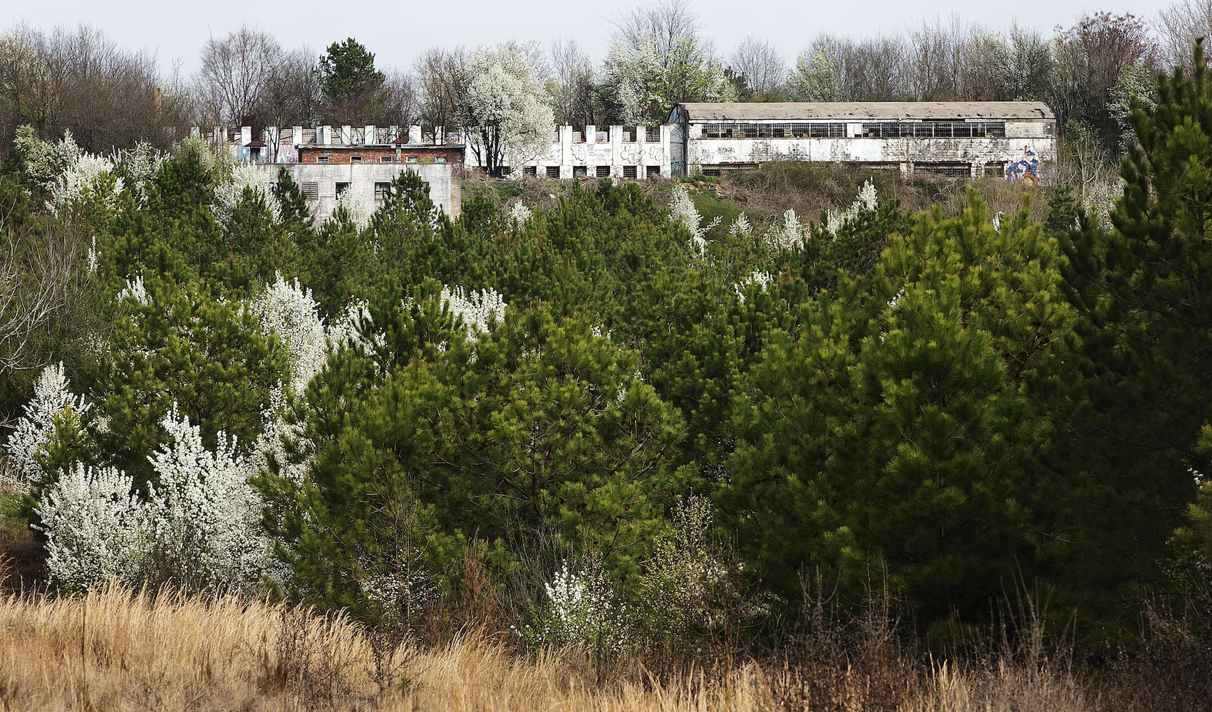 Atlanta Prison Farm