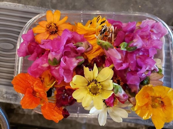 Rising Son has a garden in Rockdale specifically for edible flowers.