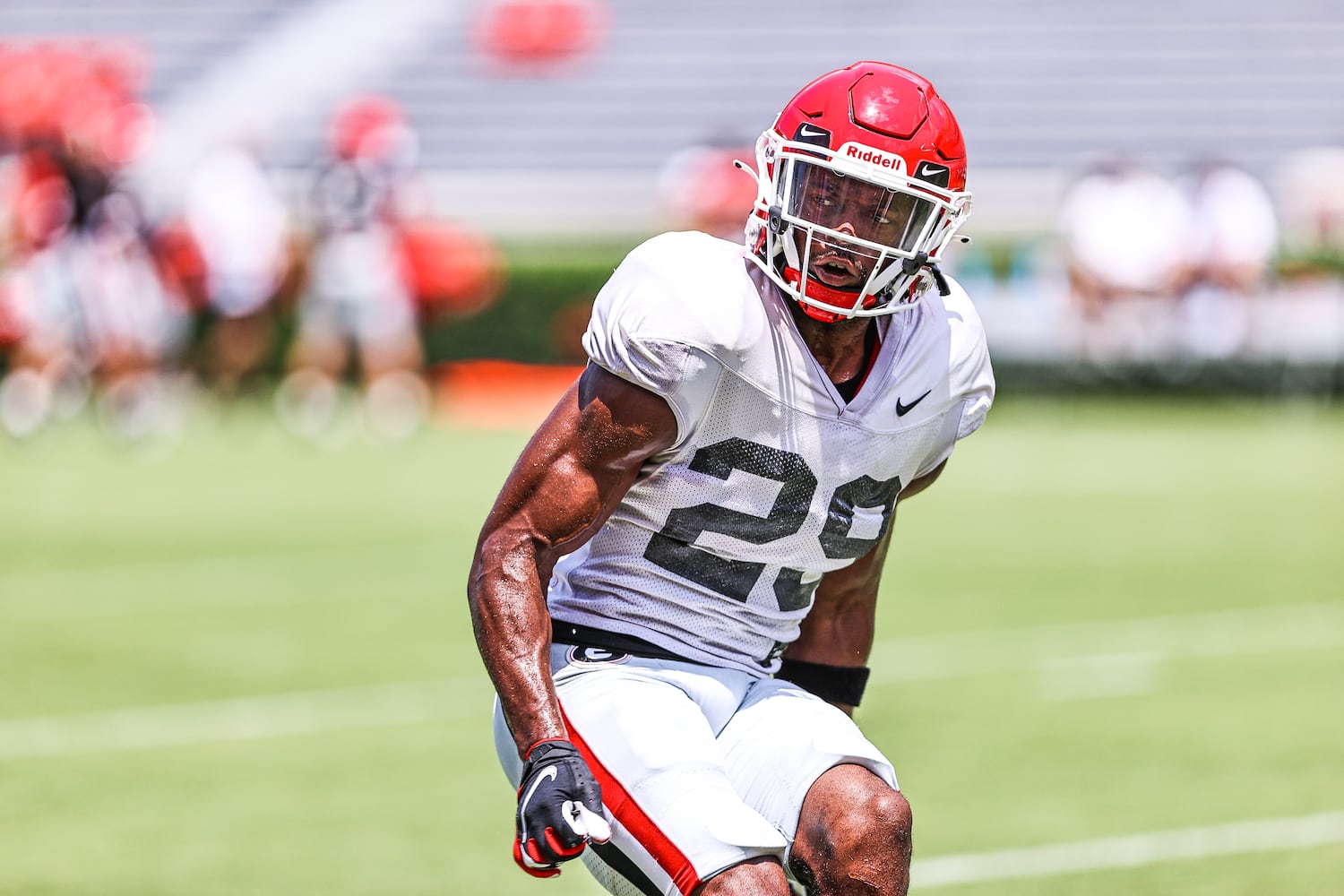 Georgia football practice