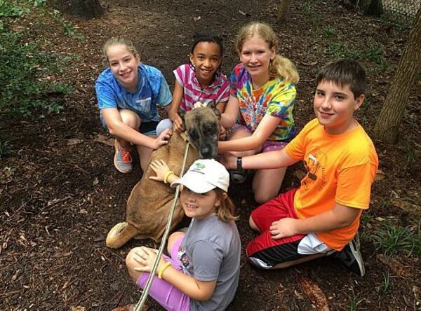 Young animal lovers at PAWS Atlanta summer camp