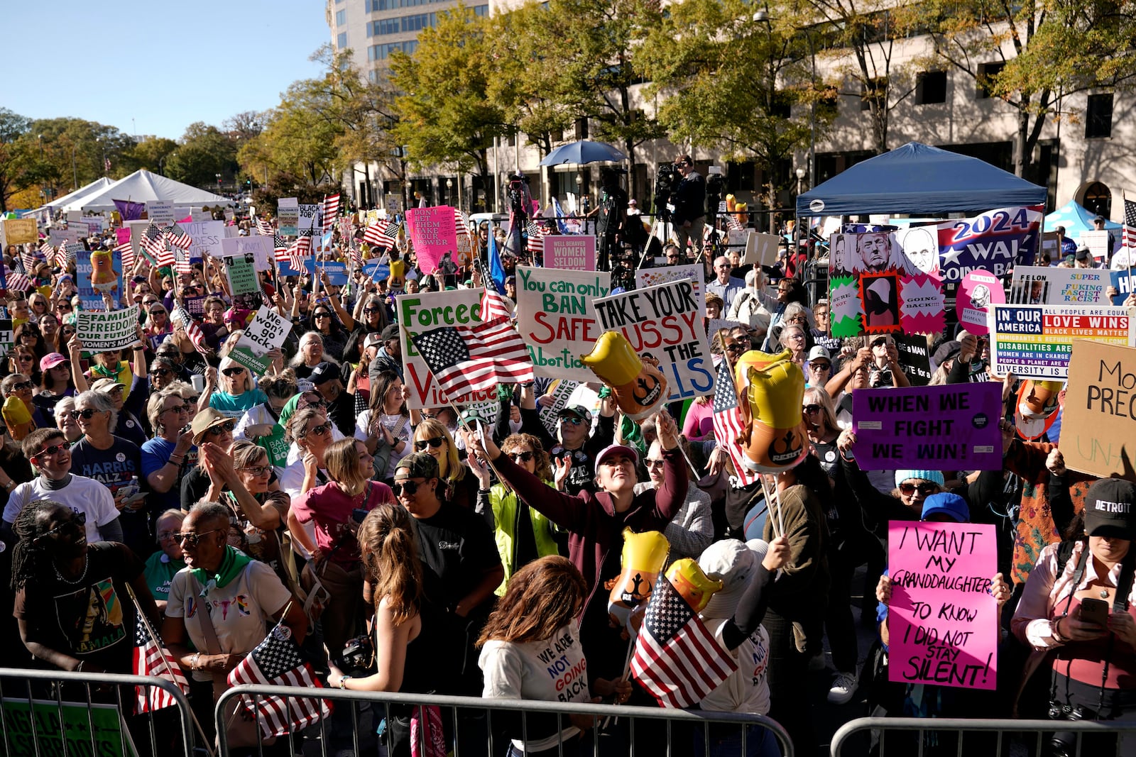 Demonstrator protest during the national Women's March at Freedom Plaza in Washington, Saturday, Nov. 2, 2024. (AP Photo/Jose Luis Magana)