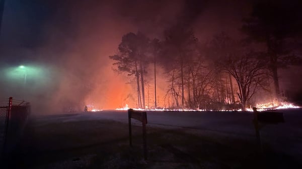 The Georgia Forestry Commission expects wildfires to be active across much of the state and for activity to be above normal for the month of March. (Georgia Forestry Commission)