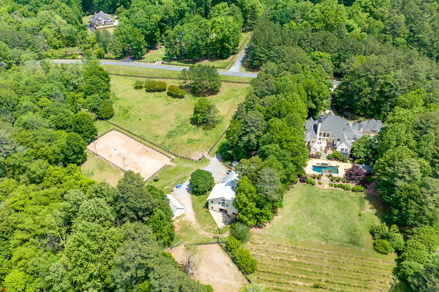 Luxurious Atlanta estate going to auction is both a ranch and a vineyard