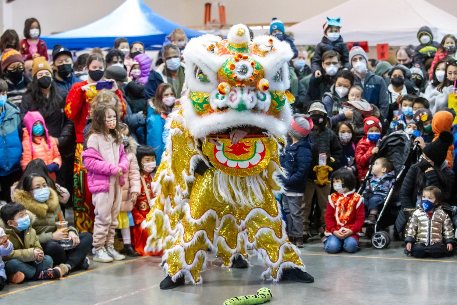 Decatur's first Lunar New Year celebration