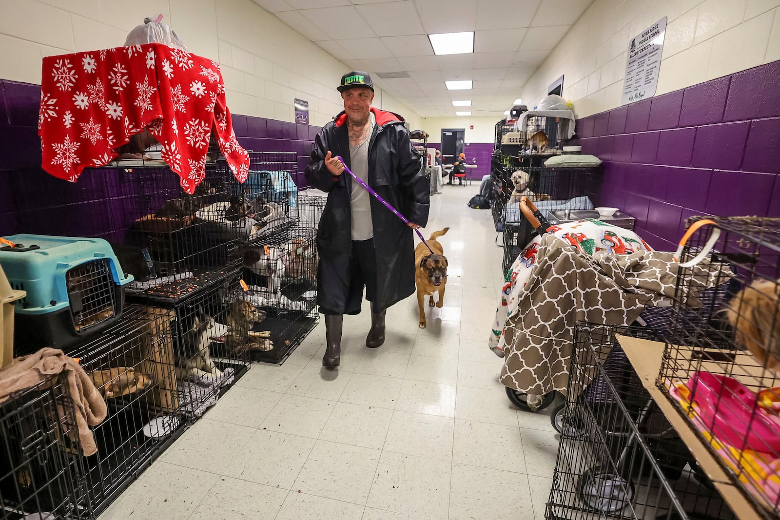 Logan Smith takes his dog Zak through some of the 283 registered pets in the evacuation shelter at River Ridge Middle/High School in preparation for Hurricane Milton on Wednesday, Oct. 9, 2024, in New Port Richey, Fla. (AP Photo/Mike Carlson)