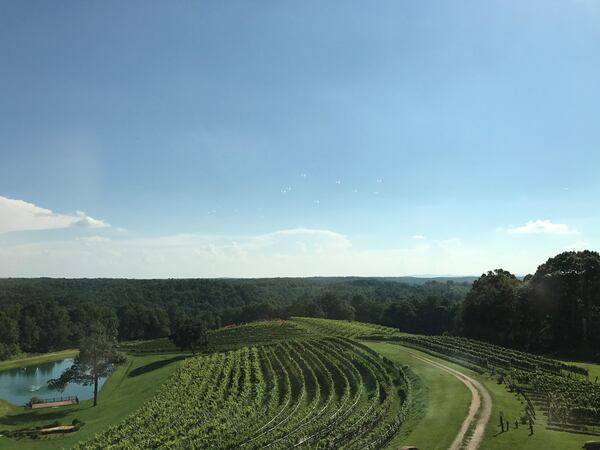 A seat in the high-ceilinged dining room at Montaluce Winery						offers a sweeping view of the orderly vineyard on the hillside						below. About a dozen of the winery’s offerings are on the menu.						LIGAYA FIGUERAS / LFIGUERAS@AJC.COM