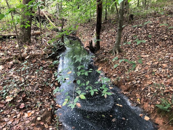 Runoff from Georgia Renewable Power's Franklin County biomass plant polluted 4.6 miles of a nearby creek in October 2019 and killed an estimated 2,100 fish, state environmental authorities found. Photograph was taken by Anthony Rabern. Courtesy of Georgia Department of Natural Resources