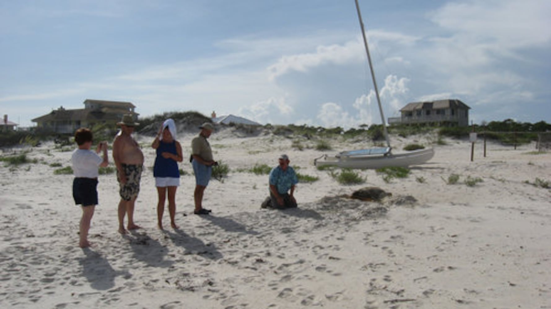 Rare daytime egg-laying sea turtle draws crowds in Florida