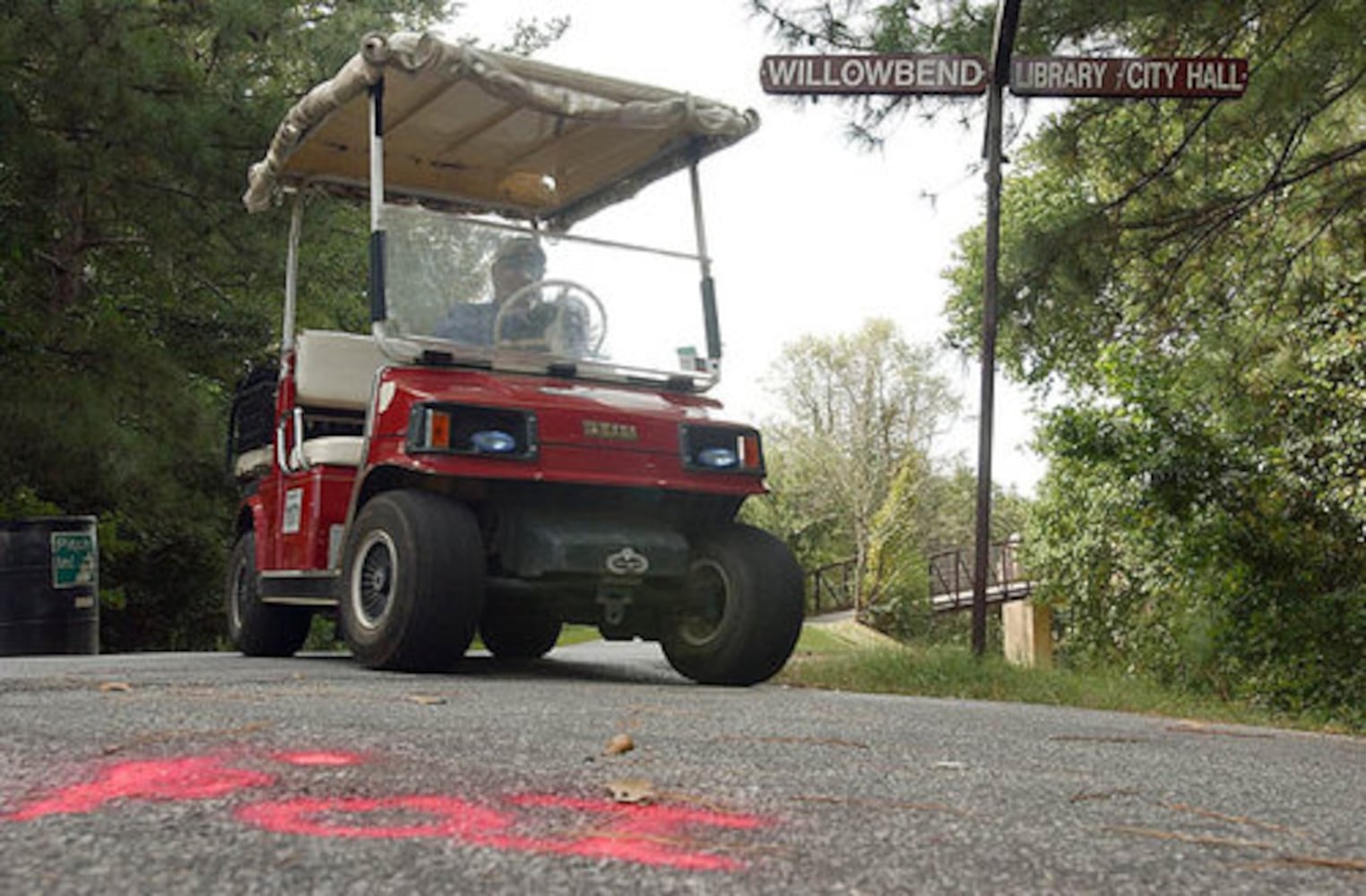 Golf carts in Peachtree City