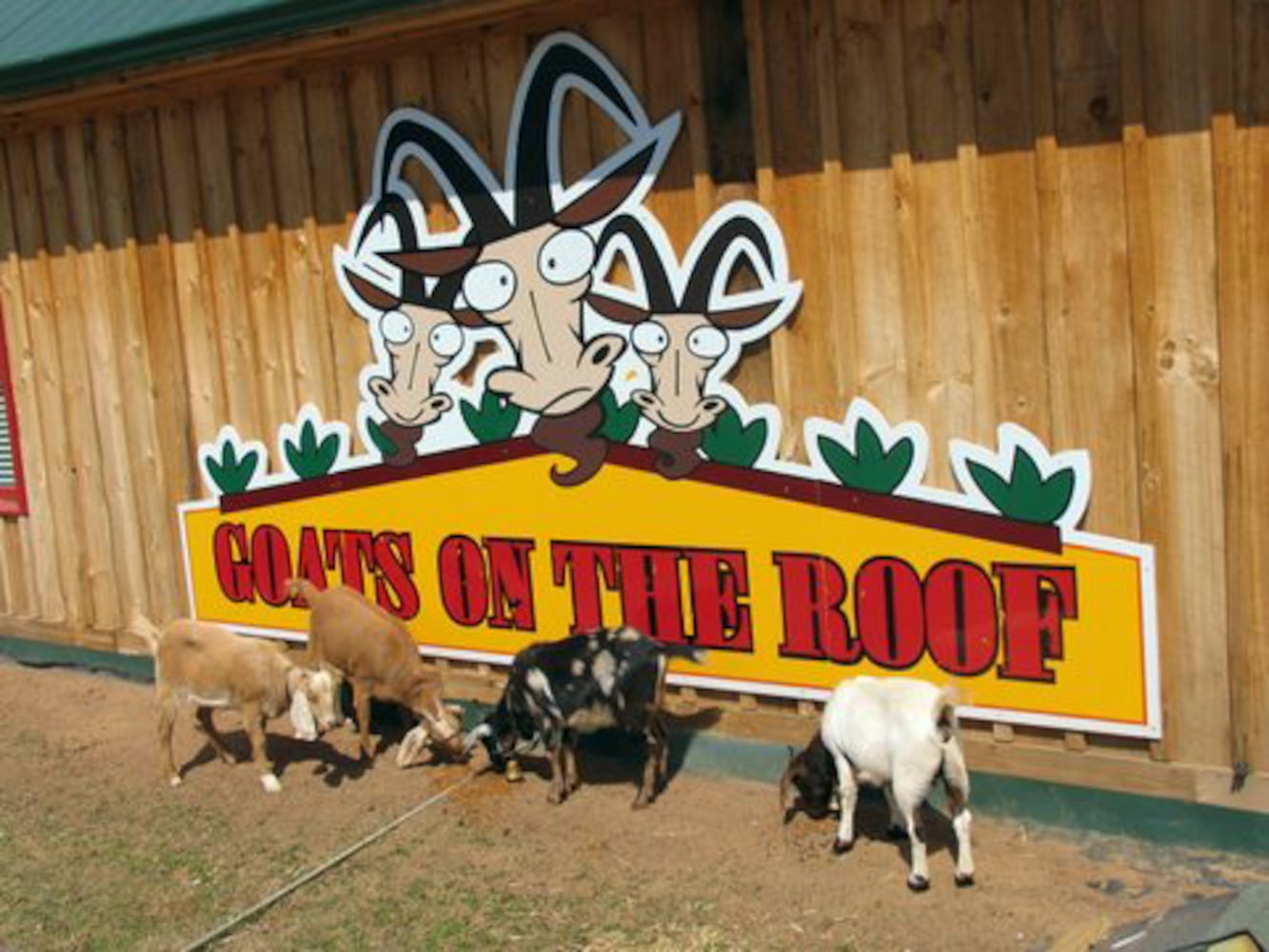 How do retailers get shoppers to stop? Try goats. On a roof.