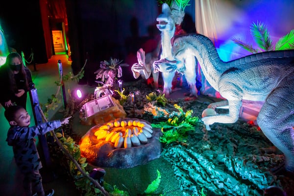 Hendrix Mathis looks over one of the animatronic dinosaur displays at the Dino Safari exhibit at Northpoint mall in Alpharetta Friday, November 19, 2021. STEVE SCHAEFER FOR THE ATLANTA JOURNAL-CONSTITUTION