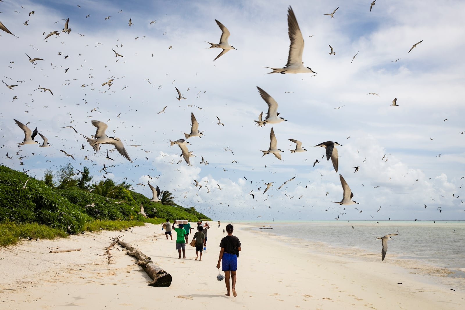 Goods that were brought to Helen Island, Palau, are carried through low tide to the ranger station on July 17, 2024. (AP Photo/Yannick Peterhans)