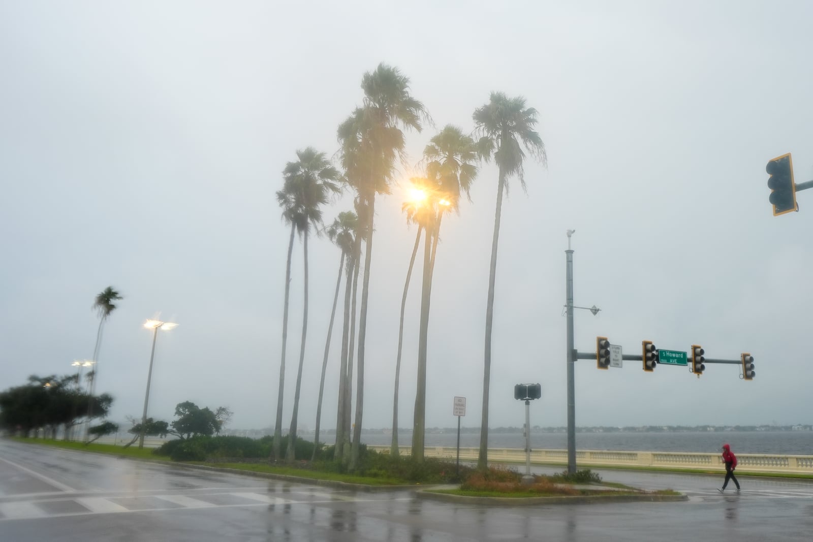 A person walks under light rain ahead of the arrival of Hurricane Milton, Wednesday, Oct. 9, 2024, in Tampa, Fla. (AP Photo/Julio Cortez)