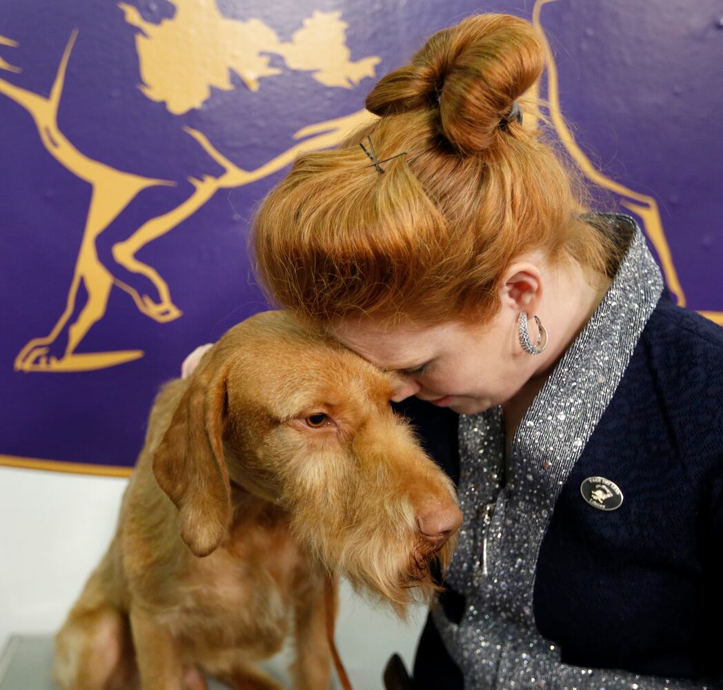 Photos: Westminster Dog Show 2018: Bichon frisé Flynn crowned best in show