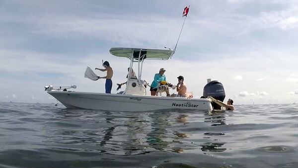 Scallopers enter the water in Homosassa Bay on Saturday, July 14, 2018. (Cassie Armstrong/Orlando Sentinel/TNS)