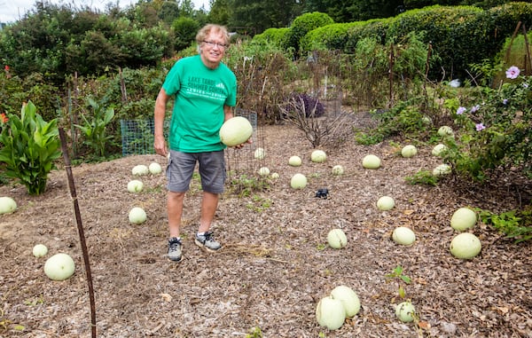 Sullivan's watermelon patch is ready for harvest.  The remaining melons will be taken to the food bank and donated. Jenni Girtman/For The AJC