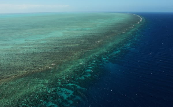 Aerial views of The Great Barrier Reef are seen from above on August 7, 2009 in Cairns, Australia.(Photo by Phil Walter/Getty Images)