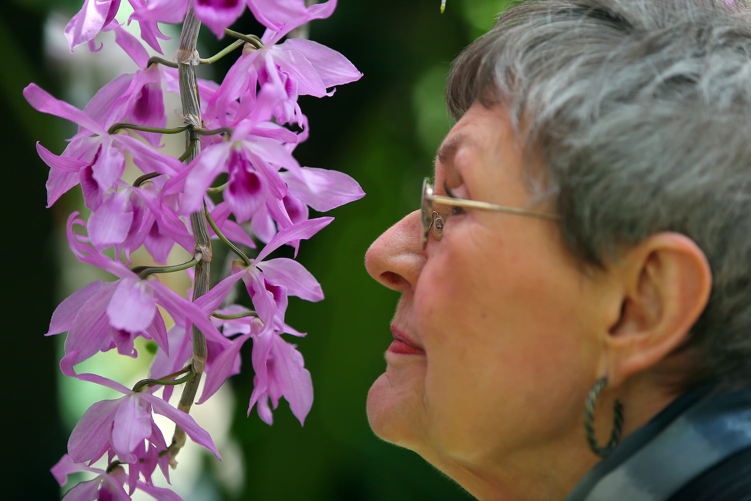 Atlanta Blooms display