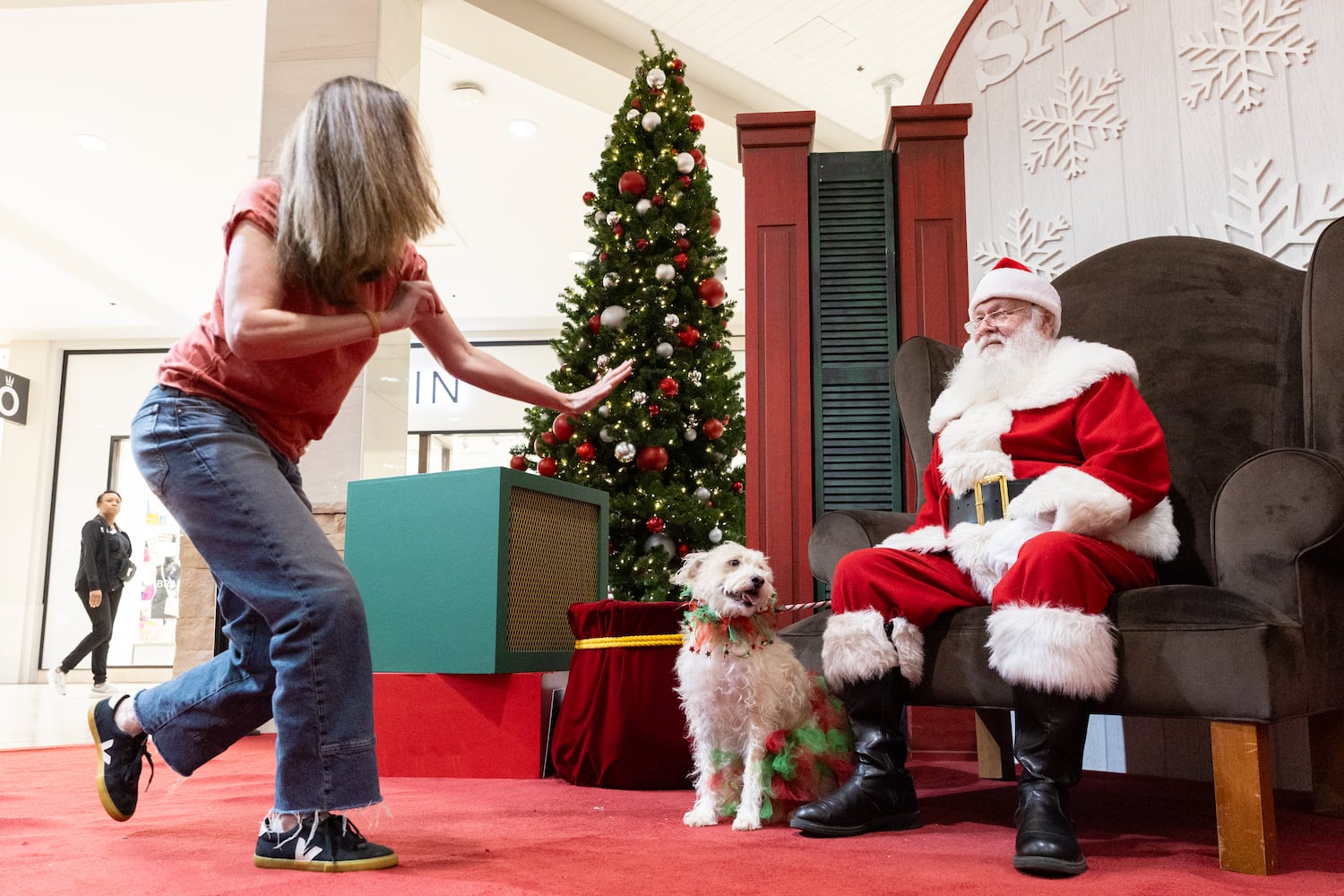 Pet photos with Santa evergreen
