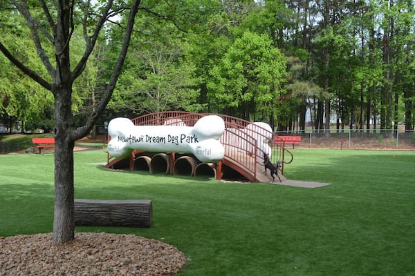 Pups are living the good life at Newtown Dream Dog Park. 
(Courtesy of Johns Creek Park and Recreation Department)